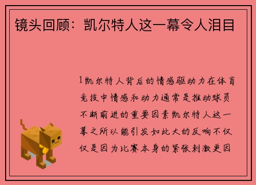 镜头回顾：凯尔特人这一幕令人泪目